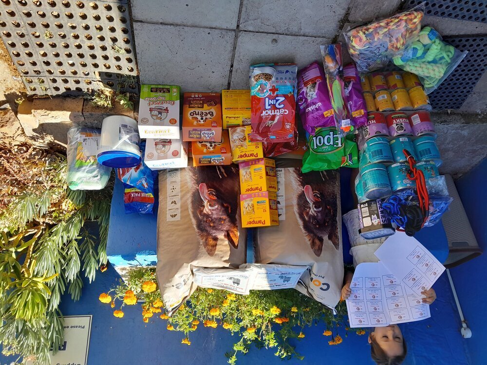 SPCA Grahamstown